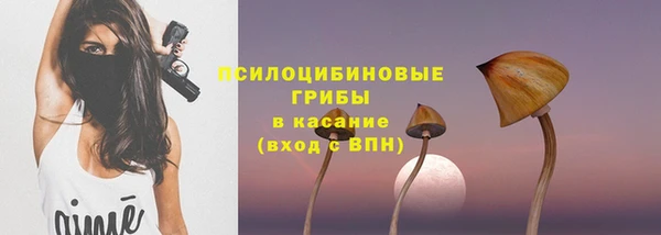 спайс Алзамай