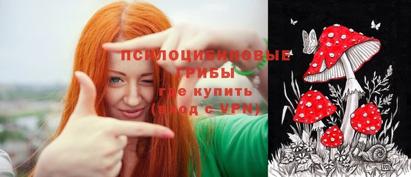 стаф Алексеевка