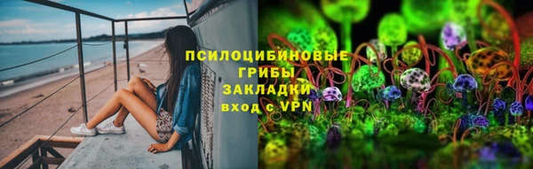 стаф Алексеевка