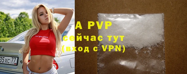 стаф Алексеевка